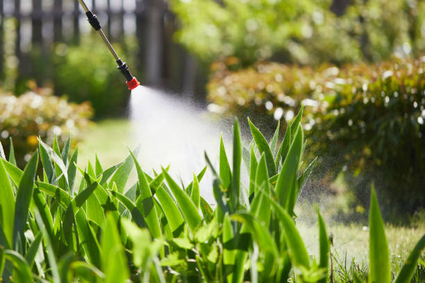 24/7 Emergency Ant Control experts in Muscle Shoals, AL