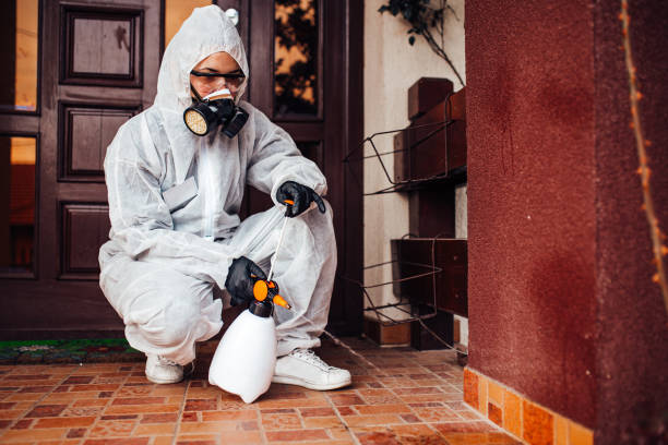 Reliable Ant Control contractor in Muscle Shoals, AL by Show Me Pest Control